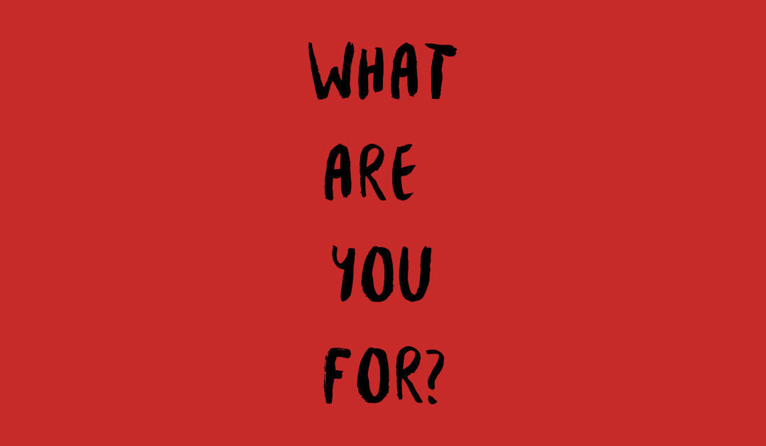 What Are You For?