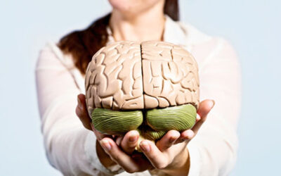 Put This In Your Brain On Monday