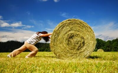 When Things Are Rolling