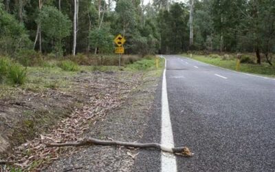 Doing What You HAVE To Do