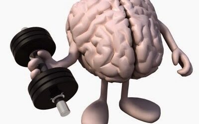 3 Tips To Improve Your Brain Function