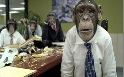 Give Others Grace To Grow