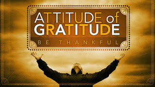 My Gratitude Challenge