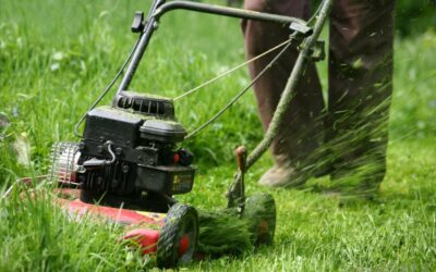 Mowing the Tall Grass