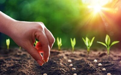 It’s Time To Plant Seeds