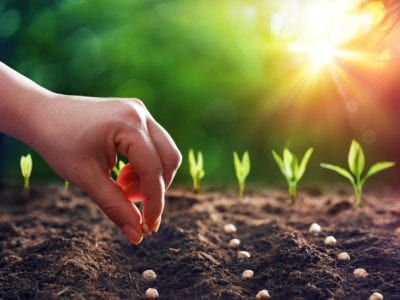 It’s Time To Plant Seeds