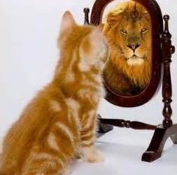 Who Do You Think You Are?